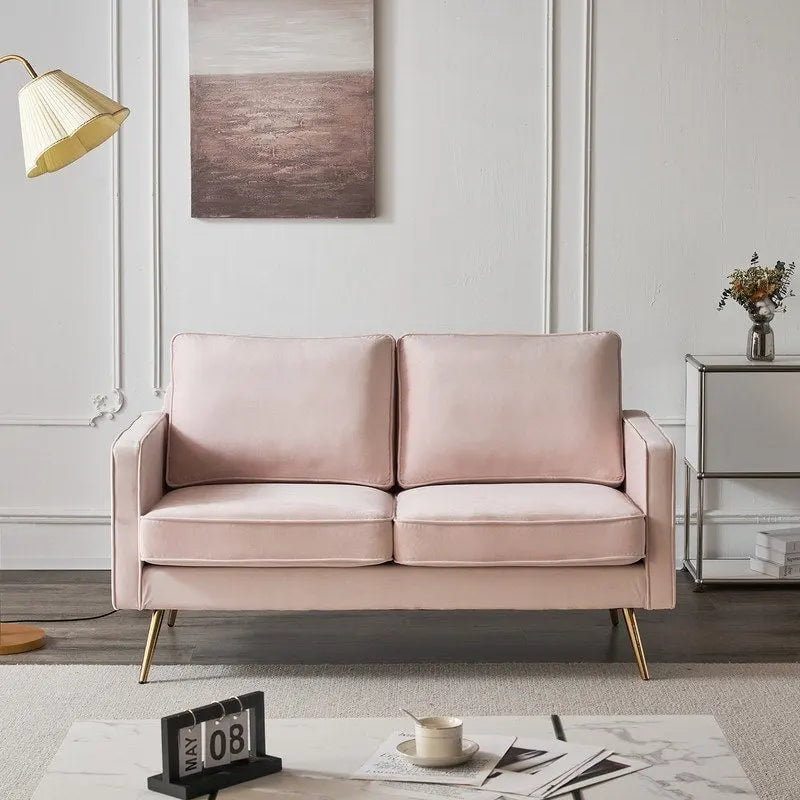 Modernes 56-Zoll-Zweisitzersofa